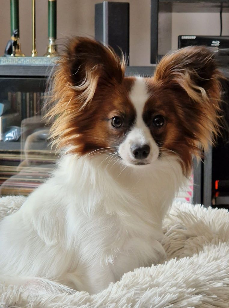 De La Vallée De La Py - Reçu une photo de vodka de la vallée de la py merci