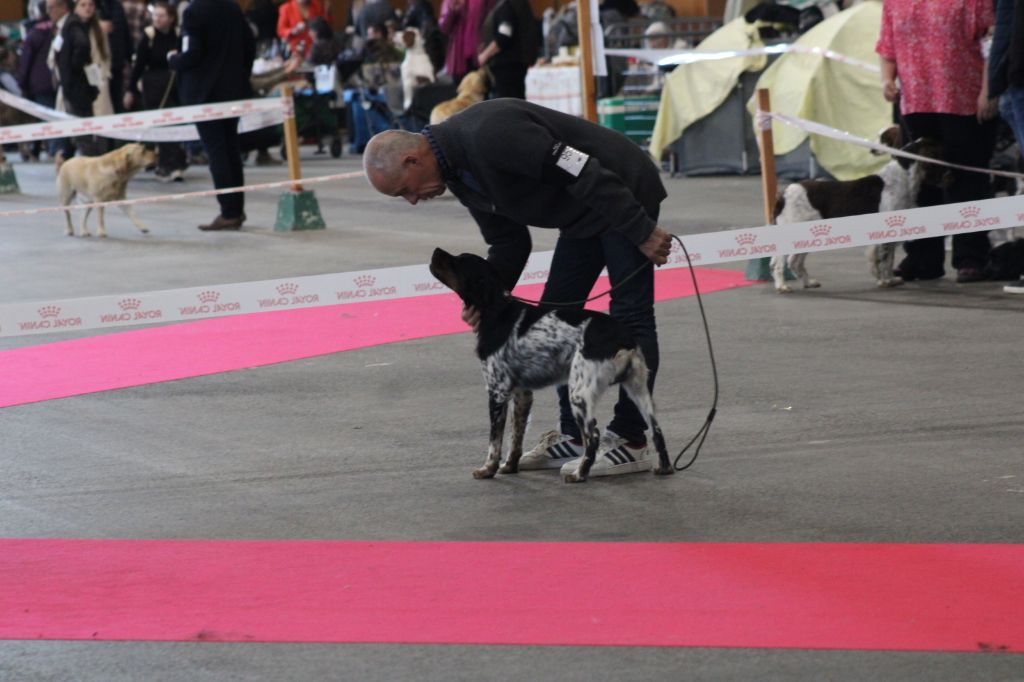 EXPOSITION  A METZ  LE 8 ET 9 NOVEMBRE 2025
