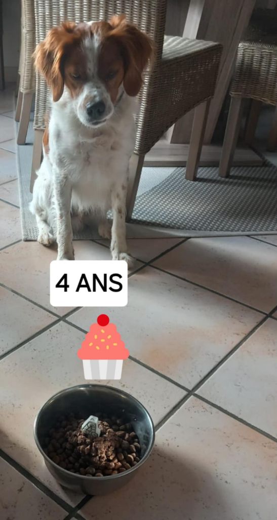 de la vallée de la Py - Reçu une photo de Sam de la vallée de la py merci