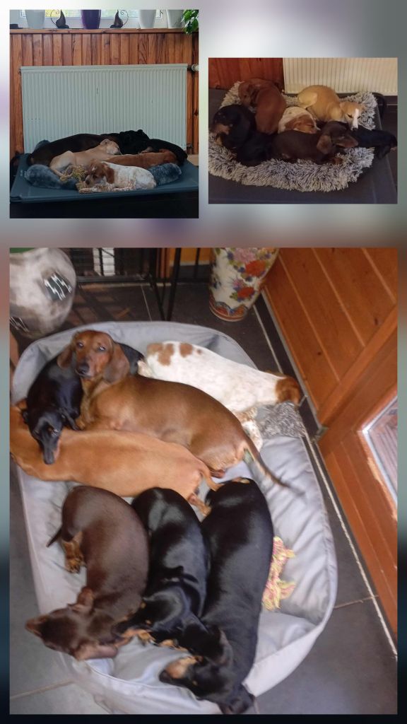 Reçu des photos de Amira de la vallée de la py merci