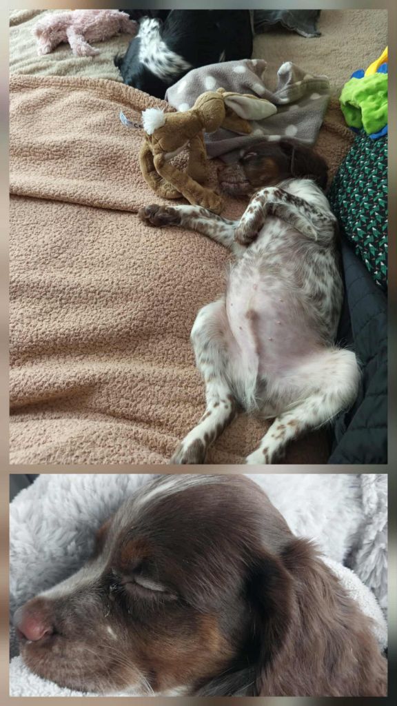 De La Vallée De La Py - Reçu une photo de Aslo de la vallée de la py merci