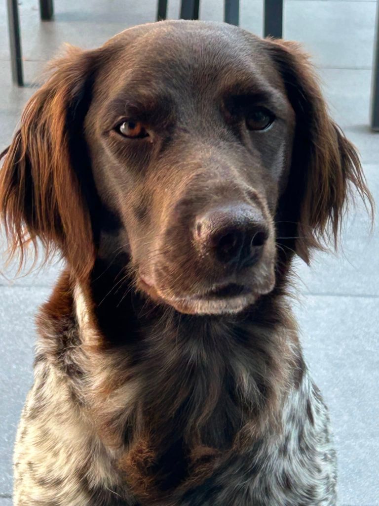 De La Vallée De La Py - RECU UNE PHOTOS DE UBBY DE LA VALLEE DE LA PY MERCI