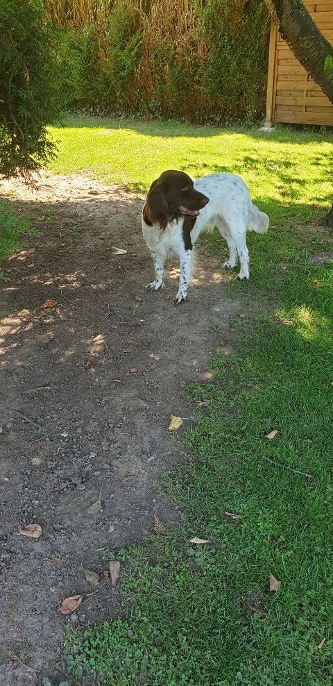 de la vallée de la Py - Reçu une photo de Valko de la vallée de la py merci