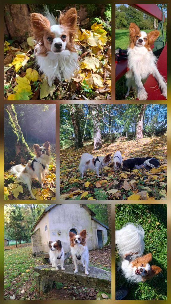 De La Vallée De La Py - Reçu des photos de Urfy de la vallée de la py merci